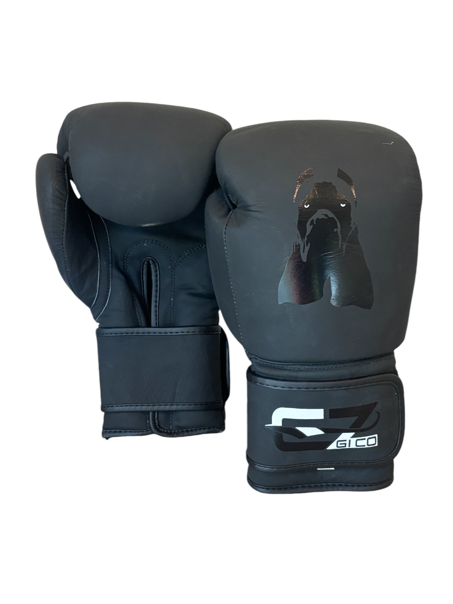 Corso Leather Boxing Gloves