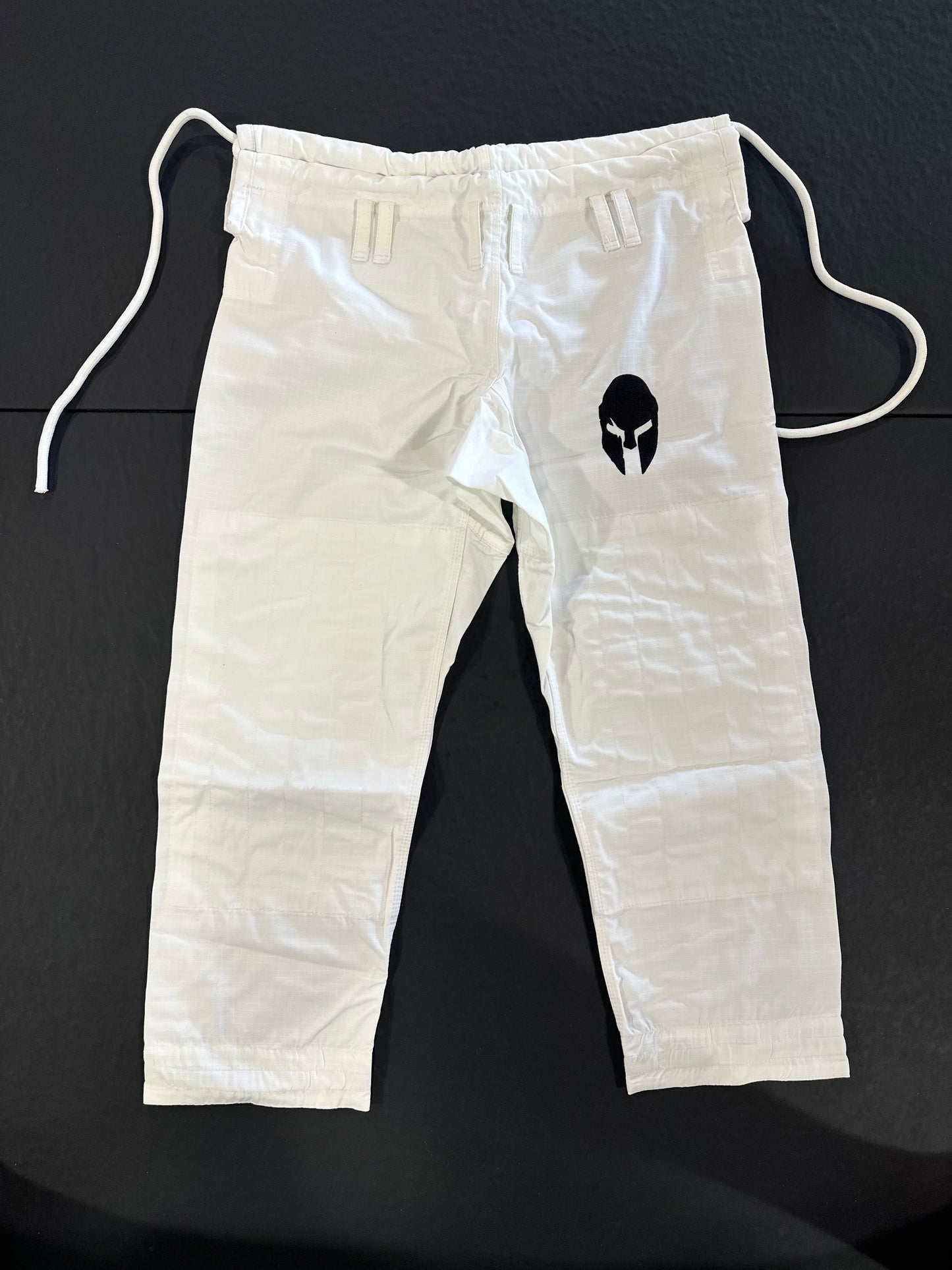 The Protector GI